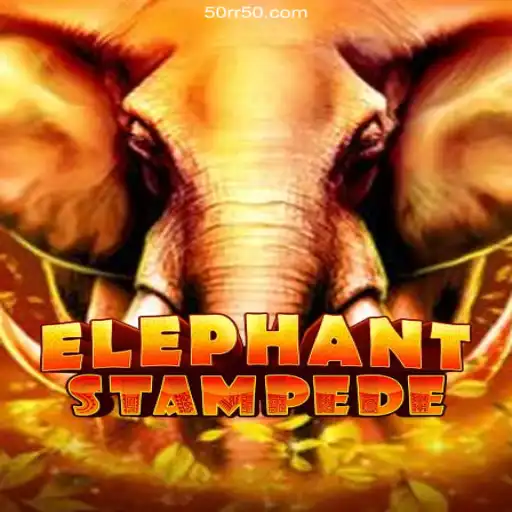 Exploring the Excitement of ElephantStampede and Cassino Adventures